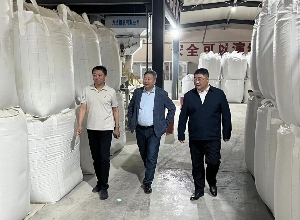 法库县县领导一行莅临嘉禾圣实地调研